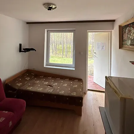 Wydmy Helskie * ヘル