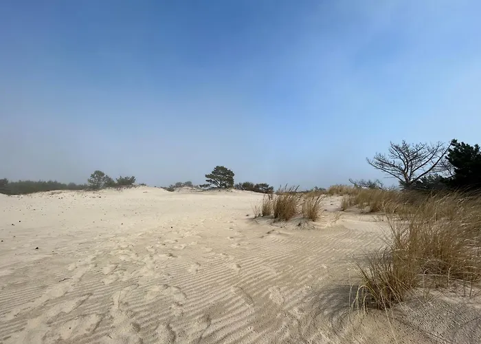 Hotell Wydmy Helskie *